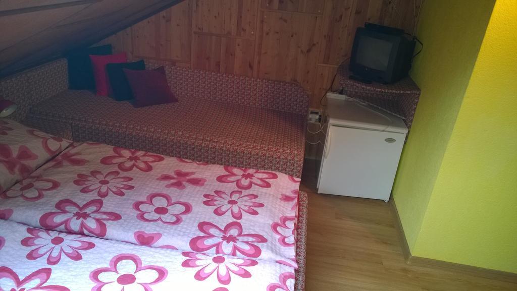 Pension Nika Cesky Krumlov Luaran gambar