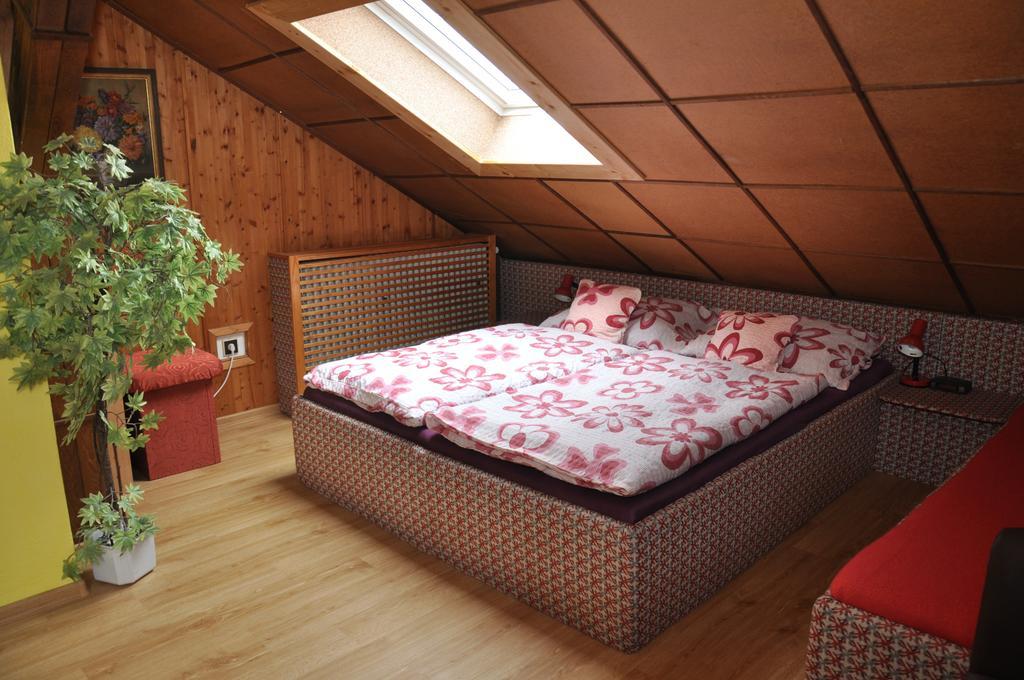 Pension Nika Cesky Krumlov Luaran gambar